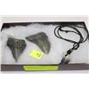 Image 1 : BOX W/ FOSSILIZED DINOSAUR TEETH AND CLAW