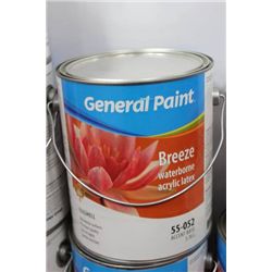 55-052 3.36 LITRES EGGSHELL ACCENT BASE