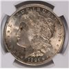 Image 2 : 1921 MORGAN DOLLAR NGC MS-64