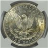 Image 3 : 1891 MORGAN DOLLAR NGC MS-62