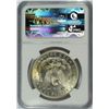 Image 4 : 1891 MORGAN DOLLAR NGC MS-62
