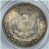 Image 3 : 1902-O MORGAN DOLLAR PCGS MS-63