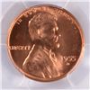 Image 2 : 1955 D Lincoln Cent PCGS MS66 RED