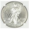 Image 2 : 1996 SILVER AMERICAN EAGLE NGC MS-66