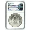 Image 4 : 1996 SILVER AMERICAN EAGLE NGC MS-66