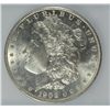 Image 2 : 1902-O MORGAN DOLLAR ICG MS-64
