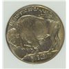 Image 3 : 1913 I BUFFALO NICKEL NGC MS-66