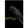 Image 9 : 10"x10" CHIPARUS VINTAGE ART DECO LADY AND THE PARROT BRONZE/MARBLE SCULPTURE   12 LBS.