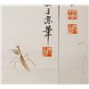 Image 4 : Four Chinese WC Insect Paper Qi Baishi (1864-1957)