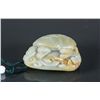 Image 1 : Chinese Celadon Jade Carved Turtle