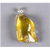 Image 1 : Chinese Yellow Amber Insect Pendant