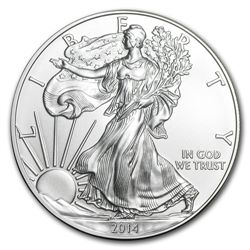 2014 1 oz Silver Eagles