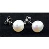 Image 2 : 15.66CTW WHITE RICE PEARL EARRING PHILIPPINES