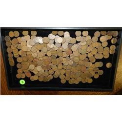 box of U.S. Wheat back pennies, penny various dates and