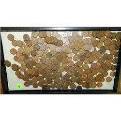 box of U.S. Wheat back pennies, penny various dates and