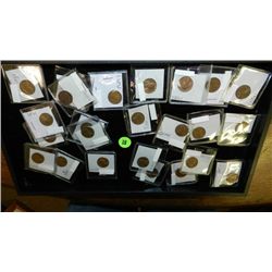 Tray of U.S. coins, various denomination, dates and