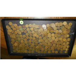 box of U.S. Wheat back pennies, penny various dates and