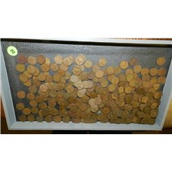 box of U.S. Wheat back pennies, penny various dates and