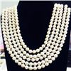 Image 1 : 5-5 1/5  WHITE PEARL STRANDS