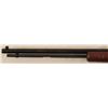 Image 10 : Henry H003T Pump Action .22 Rifle