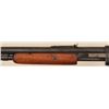 Image 9 : Winchester Pump Action .22 Rifle