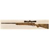 Image 5 : Remington Model 700 .17HMR Rifle