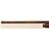 Image 10 : Remington Model 11
