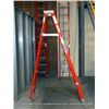 Image 1 : LOUISVILLE FP1006 6' LADDER