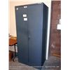 Image 1 : METAL CABINET, 2 DOOR
