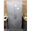Image 1 : ASE 2-DOOR METAL CABINET