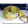 Image 1 : LIFTIT 18' POLYESTER 4" LIFTING STRAP