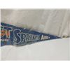 Image 3 : VINTAGE HOT SPRINGS SOUVENIR PENNANT