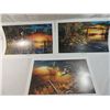 Image 2 : JIM HANSEL UNITED STATES WILDLIFE COLLECTION PRINT