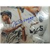 Image 2 : JOE DIMAGGIO AUTOGRAPHED MATTED PHOTOS