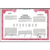 Image 1 : Hong Kong and Shanghai Banking Corporation ca.1960-70's Specimen Stock Certificate.