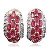 Image 1 : 14KT Yellow Gold 4.16ctw Ruby and Diamond Earrings