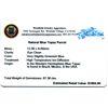 Image 2 : 87.36cts Marquise Cut Natural Blue Topaz Parcel