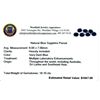 Image 2 : 18.1cts Oval Cut Natural Blue Sapphire Parcel