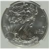 Image 2 : 2011 (S) SILVER AMERICAN EAGLE NGC MS-69