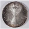 Image 1 : 1995 AMERICAN SILVER EAGLE, OBVERSE COLORS