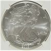 Image 2 : 2003 AMERICAN SILVER EAGLE, NGC MS-69