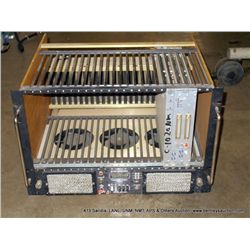 BIRA POWERED CAMAC CRATE