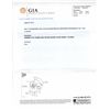 Image 8 : GIA Certified 14KT White Gold 1.00ct Yellow Diamond Ring