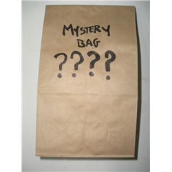 2014 SILVER EAGLE 1oz .999 SILVER *BRILLIANT UNCIRCULATED HIGH GRADE* SILVER EAGLE CAME OUT OF SAFE