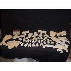 ALIEN DEMON ZOMBIE WOUND HORROR MAKE UP APPLIANCES HUGE HORDE OF 65 + PIECES