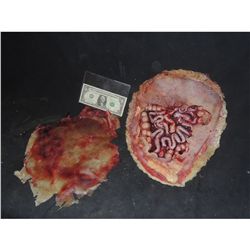 ZOMBIE EXPOSED LATEX ENTRAILS & SILICONE APPLIANCES