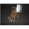 Image 1 : HOWLING THE WEREWOLF HAND SCREEN USED