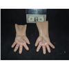 Image 2 : CURSE & SEED OF CHUCKY ACTOR WORN SCREEN MATCHED ARMS WITH HANDS