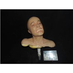 EXPLODING BRAINS SILICONE FEMALE HEAD