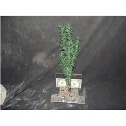 SATURDAY NIGHT LIVE KILLER CHRISTMAS TREE ANIMATRONIC BRANCH